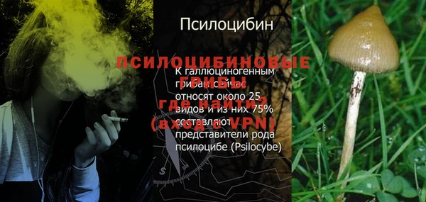 спайс Богданович