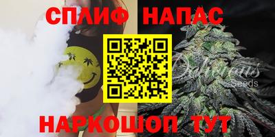 молекула духа Бийск