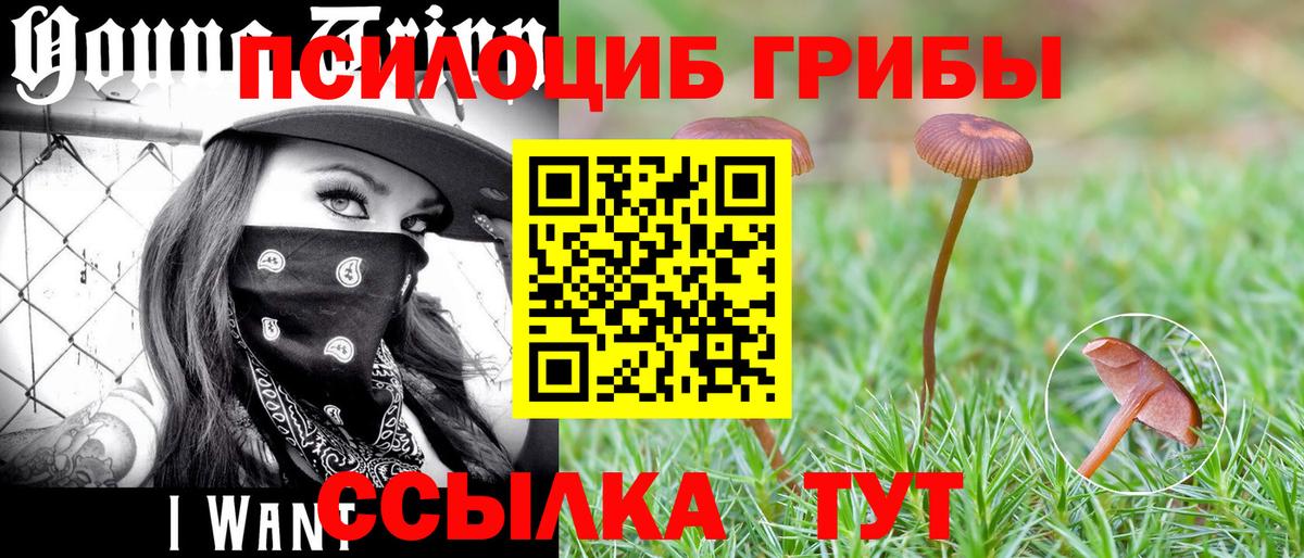 Псилоцибиновые грибы прущие грибы  Галлюциногенные грибы MAGIC MUSHROOMS  Куйбышев 