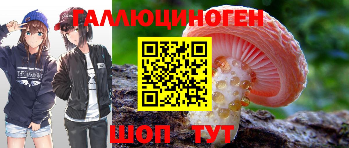 Галлюциногенные грибы Psilocybe Куйбышев
